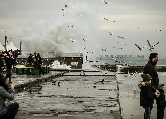 Shestaya Zhemchuzhina * Odessa