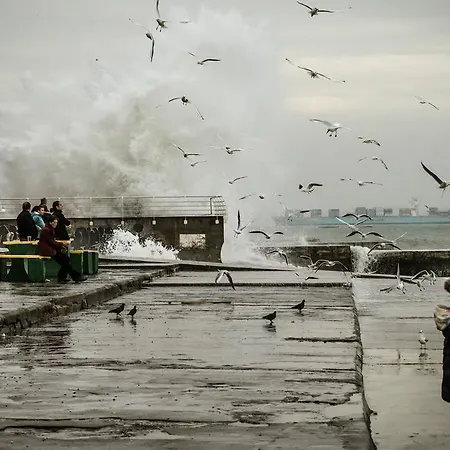 Shestaya Zhemchuzhina * Odessa